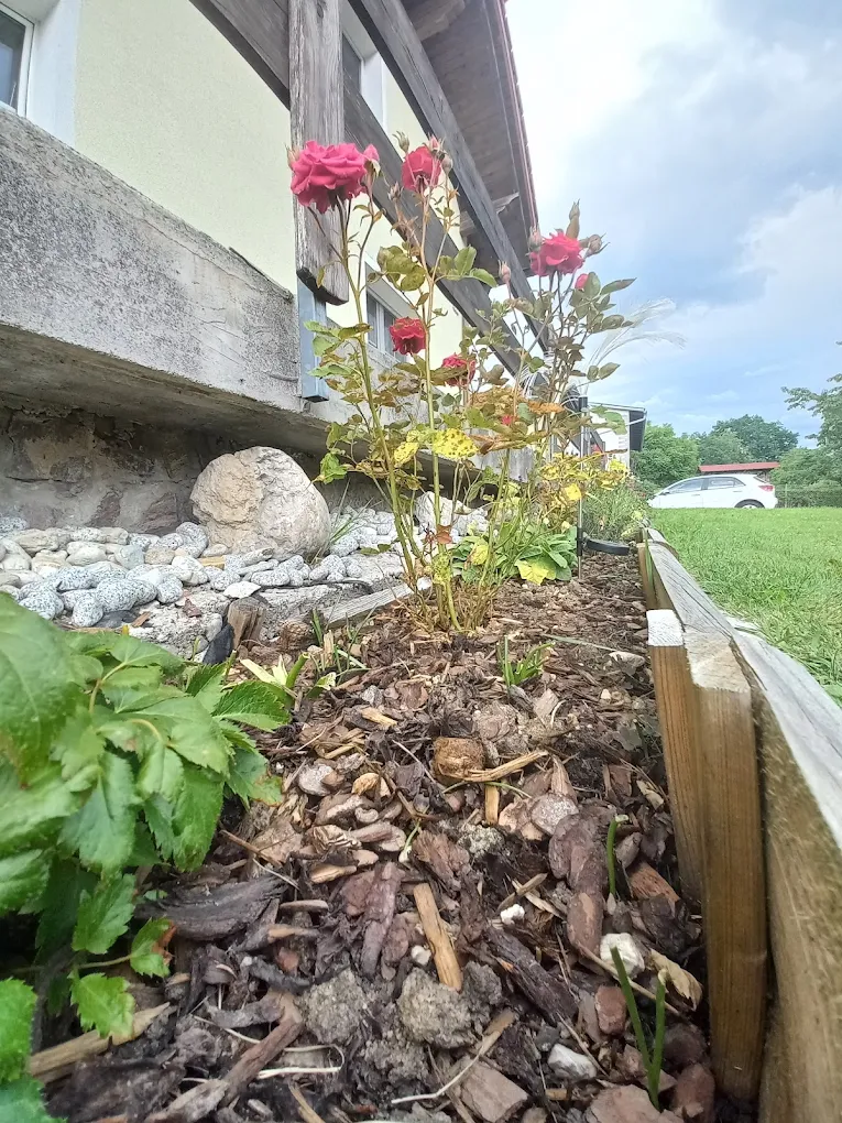 Blumenbeet Kitzbühel